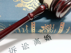 天津离婚律师