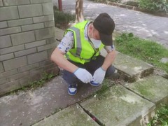 绵阳灭鼠公司