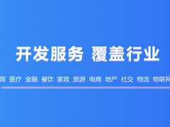上海系统开发公司