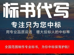 南宁标书代写公司