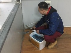 湖州杀虫灭鼠公司