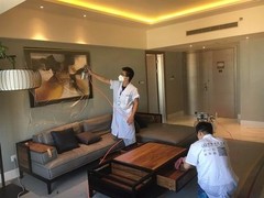 天津除醛环保科技有限公司