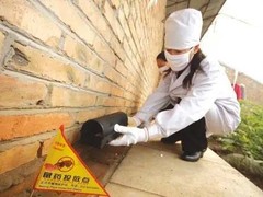 绵阳灭鼠公司