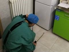 潍坊杀虫灭鼠公司