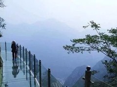 誠志天鴻