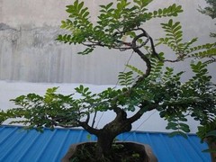 金博礼品