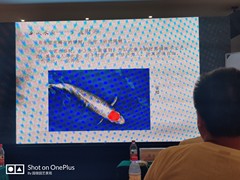 沈阳别墅庭院设计施工