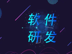大连系统开发公司