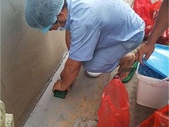 嘉兴杀虫灭鼠公司