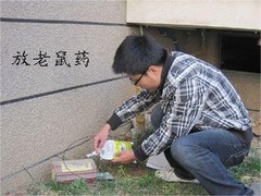 宜宾灭鼠公司