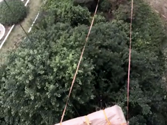 上海大众便捷搬家公司