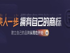 石家庄咨询