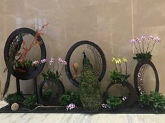 天津植物租摆
