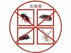 山东晨曦有害生物防治有限公司