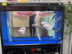 北京鱼缸维护