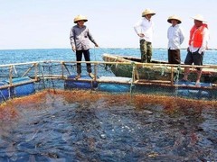 农林牧渔业评估鉴定