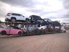 新疆运车帮轿车托运公司