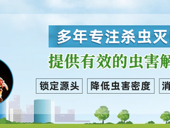惠州白蚁防治
