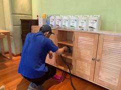 皇苹果除甲醛公司