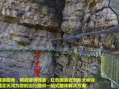誠志天鴻
