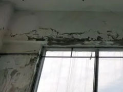 雨虹防水上门服务