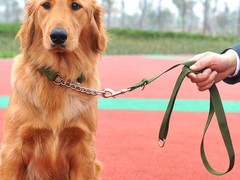 盐城训犬基地