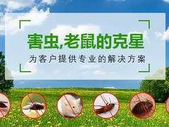 潍坊杀虫灭鼠公司