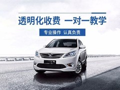 台州学车教练