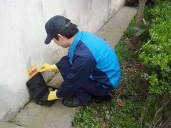宜宾灭鼠公司