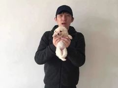 上海浦东新区宠物流浪狗流浪猫小动物救助领养收容收养中心站