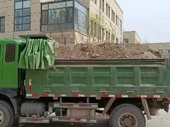 海口垃圾清理