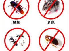邛崃灭鼠公司-仁寿灭白蚁公司-郫都区灭鼠公司