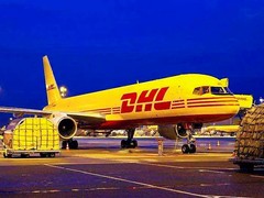 右玉DHL