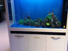 南京碧海水族