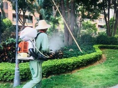 温州杀虫灭鼠公司
