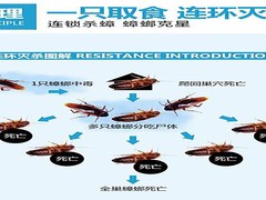 秦皇岛绿盾科技开发有限公司