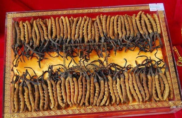 上門回收各種酒水煙酒禮品