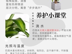 上海园艺