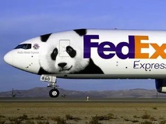 和平DHL