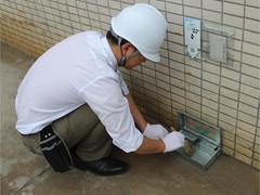 泉州杀虫灭鼠公司