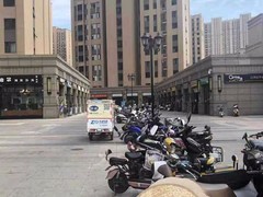 河南大果转租网1