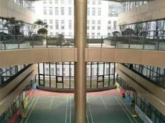 河南大果转租网2