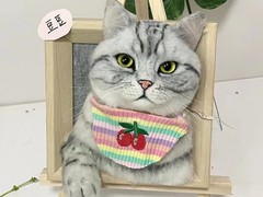 北京寵物火化