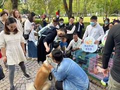 上海浦东新区宠物流浪狗流浪猫小动物救助领养收容收养中心站
