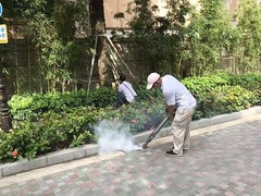 嘉兴杀虫灭鼠公司