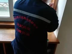 资阳灭鼠公司