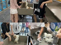 广州博爱犬舍