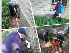 湖州杀虫灭鼠公司