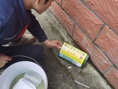 遂宁灭白蚁公司