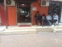河南大果转租网1